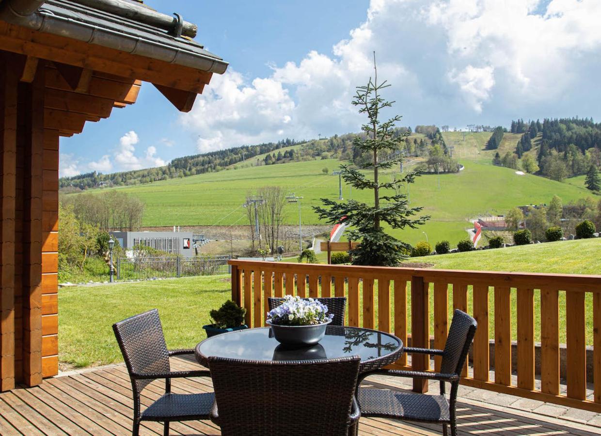 Holiday home Luxus Blockhaus Willingen Sonnenhang B