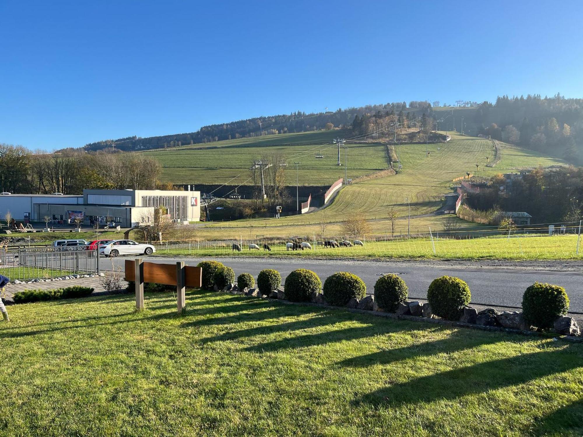 Luxus Blockhaus Willingen Sonnenhang B *